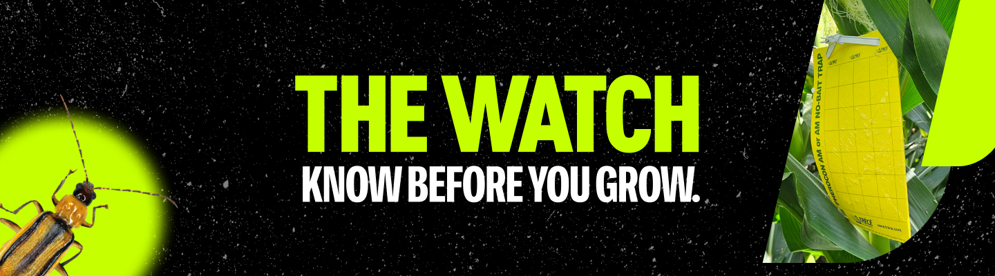 Hero image featuring an adult corn rootworm and sticky trap and reads: THE WATCH, KNOW BEFORE YOU GROW.