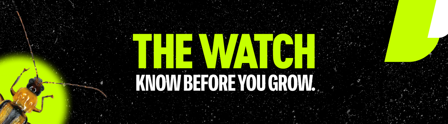 Hero image featuring an adult corn rootworm and reads: THE WATCH, KNOW BEFORE YOU GROW.